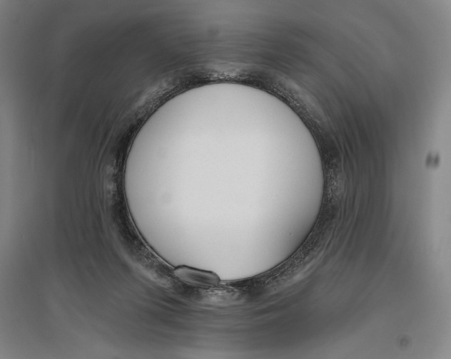 X0000096630215200802261212