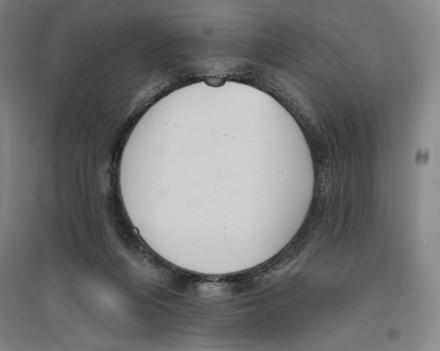 X0000096630216200802261212