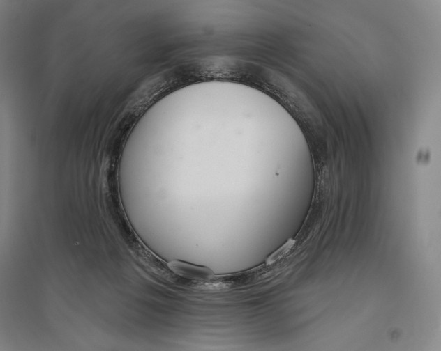 X0000096630217200802261212