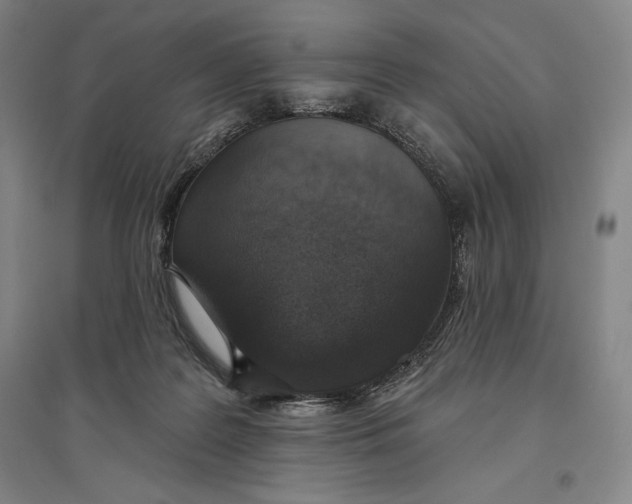 X0000096630219200802261212