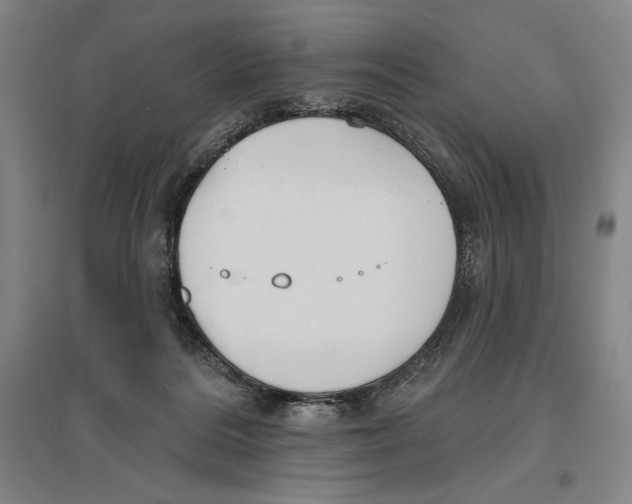 X0000096630220200802261212