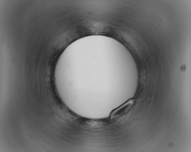 X0000096630221200802261212