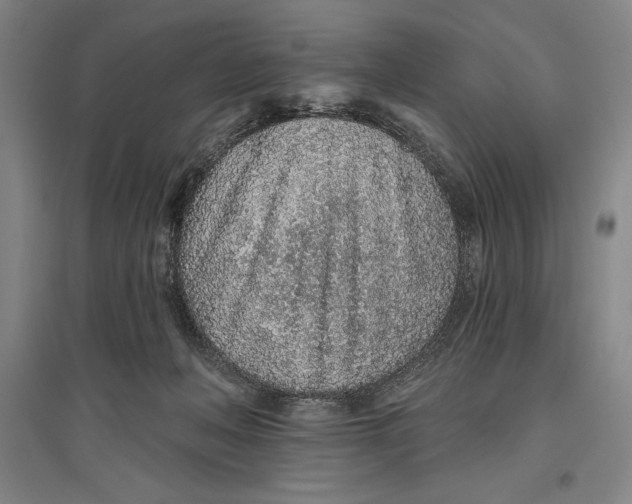 X0000096630222200802261212