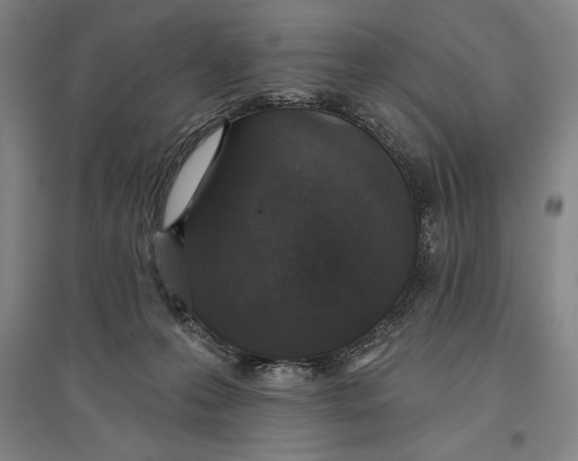 X0000096630223200802261212