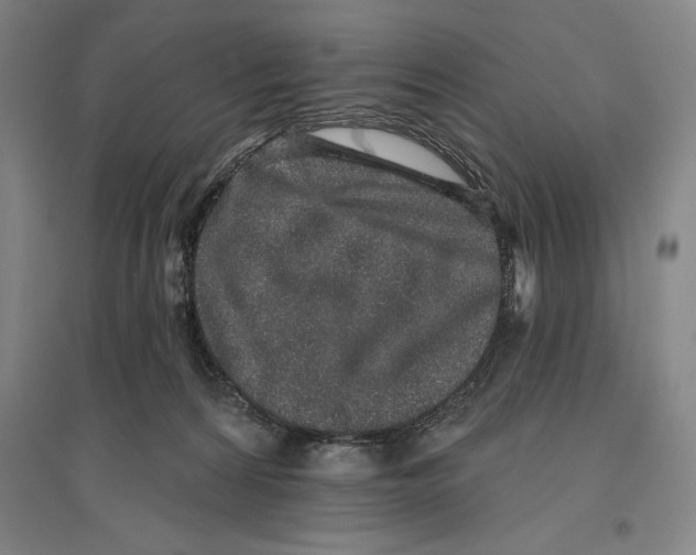 X0000096630224200802261212