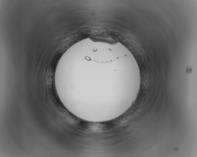 X0000096630226200802261212