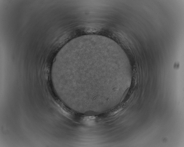 X0000096630227200802261212