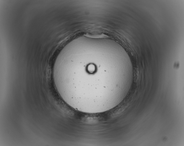 X0000096630228200802261212