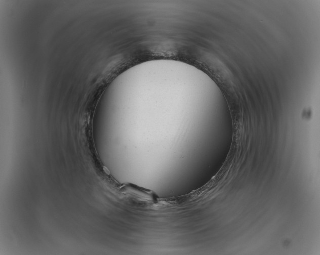 X0000096630229200802261212