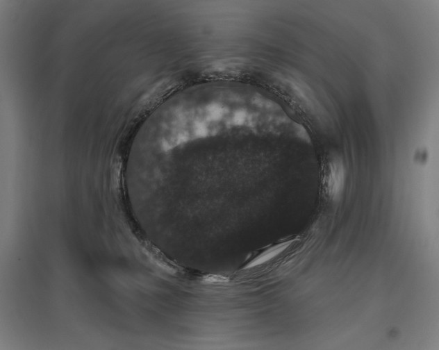 X0000096630231200802261212