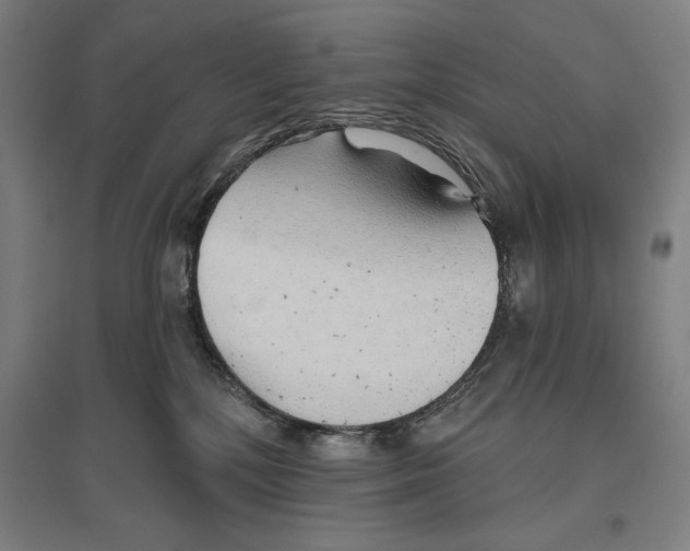 X0000096630232200802261212