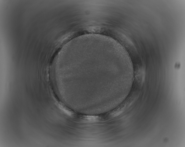 X0000096630233200802261212