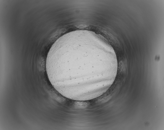 X0000096630234200802261212