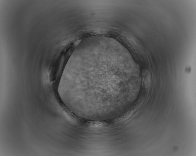 X0000096630235200802261212