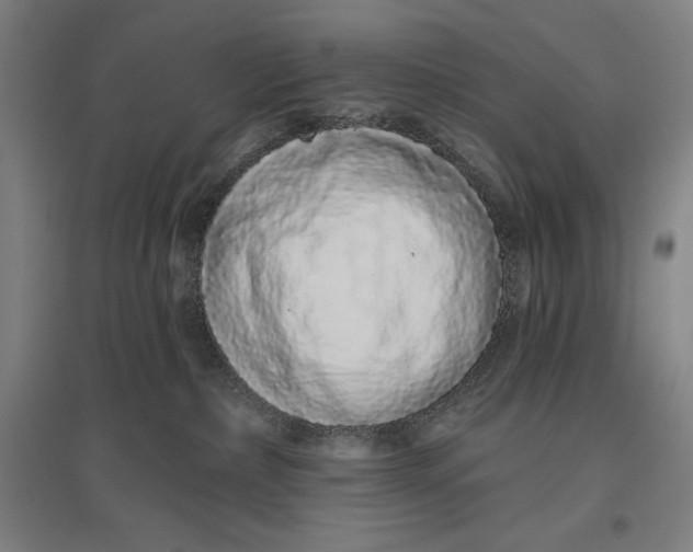 X0000096630236200802261212