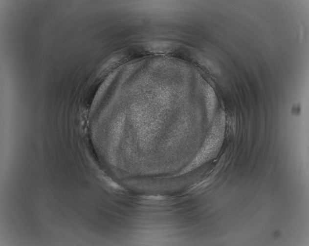 X0000096630237200802261212