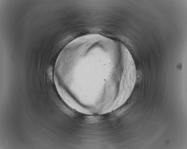 X0000096630238200802261212