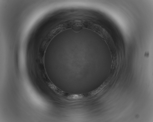 X0000096630239200802261212