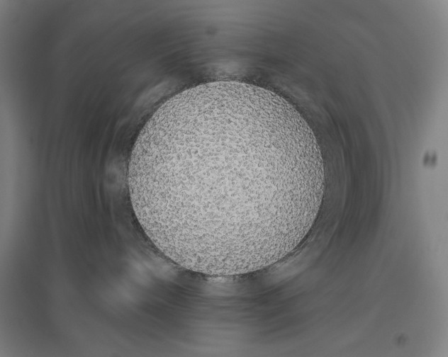 X0000096630240200802261212