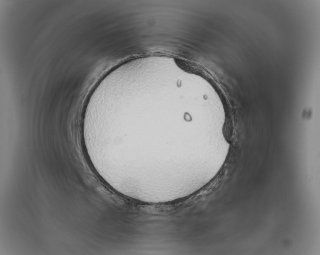 X0000096630241200802261211