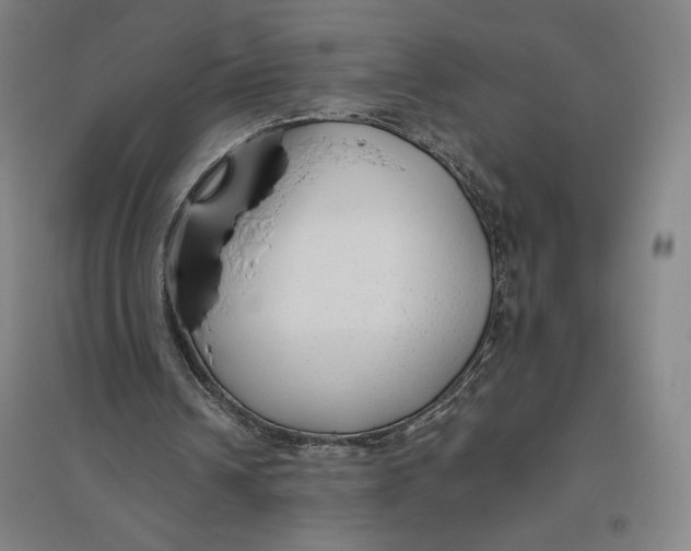 X0000096630242200802261211