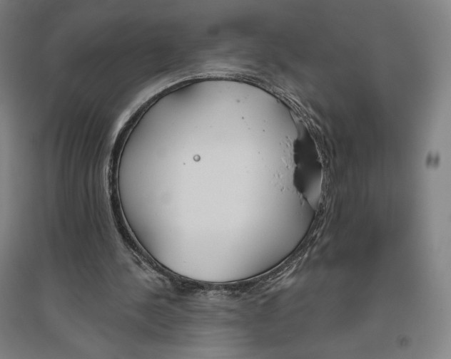 X0000096630244200802261211