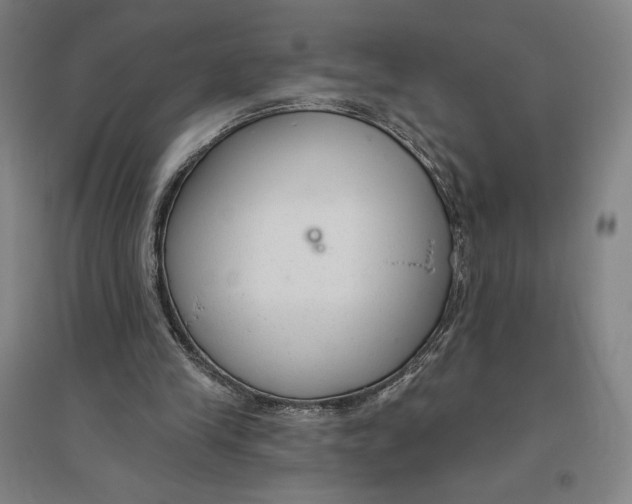 X0000096630245200802261211