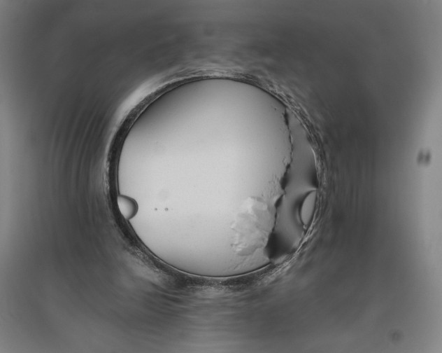 X0000096630246200802261211