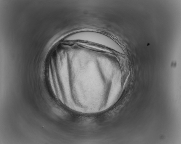 X0000096630247200802261211
