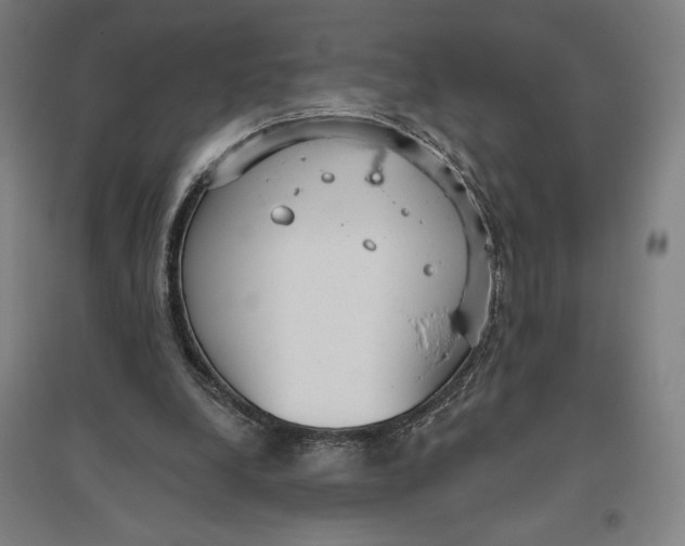 X0000096630248200802261211