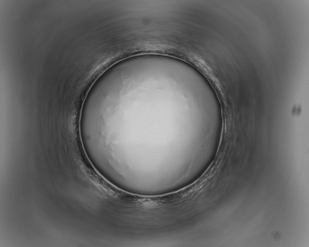 X0000096630249200802261211