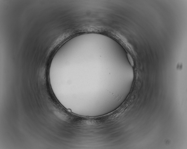 X0000096630250200802261211