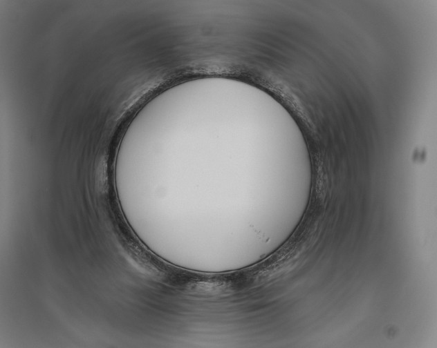 X0000096630251200802261211