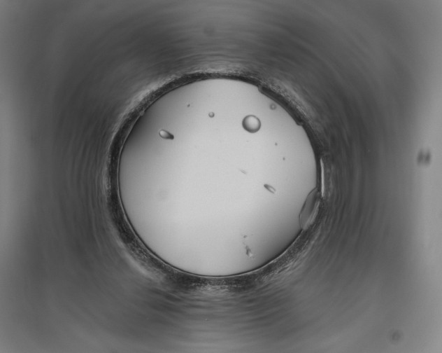 X0000096630252200802261211