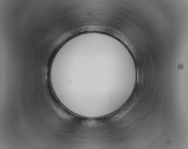 X0000096630253200802261211