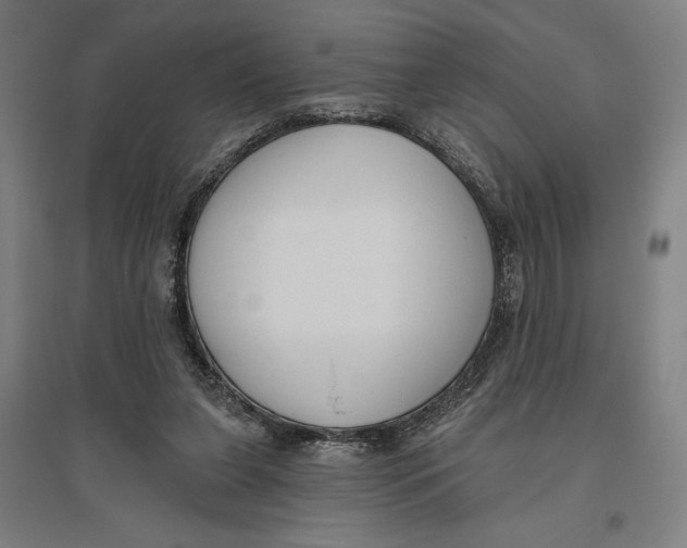 X0000096630255200802261211