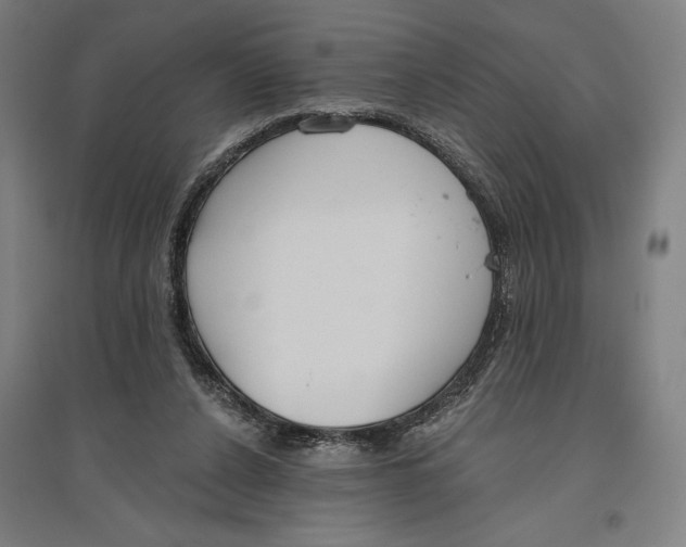 X0000096630256200802261211