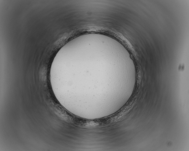 X0000096630257200802261211