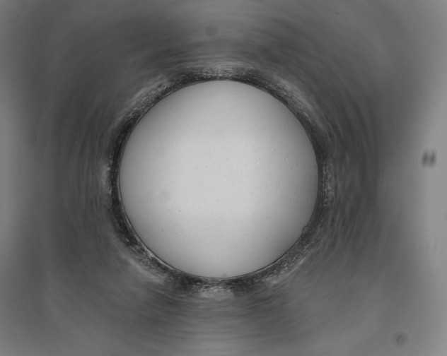 X0000096630258200802261211