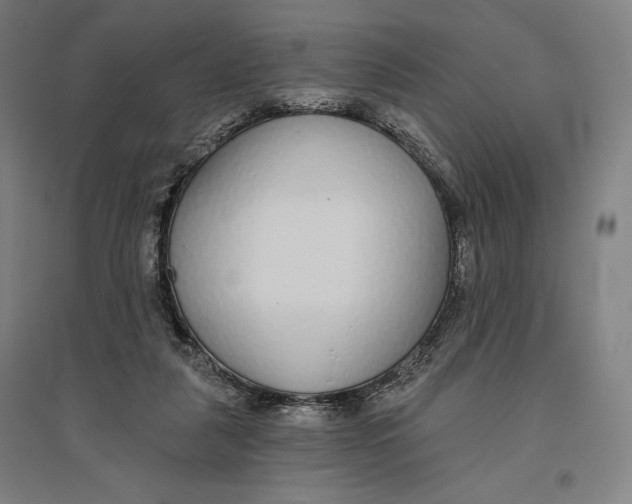 X0000096630259200802261211