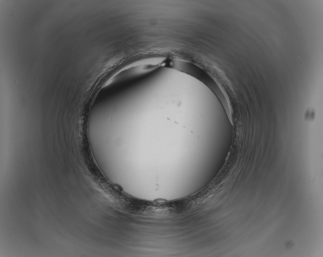 X0000096630260200802261211