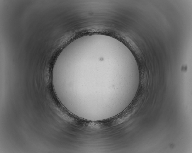 X0000096630261200802261211