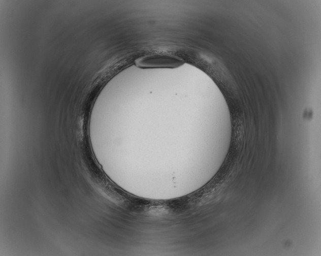 X0000096630262200802261211