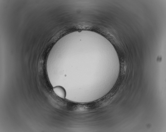 X0000096630263200802261211