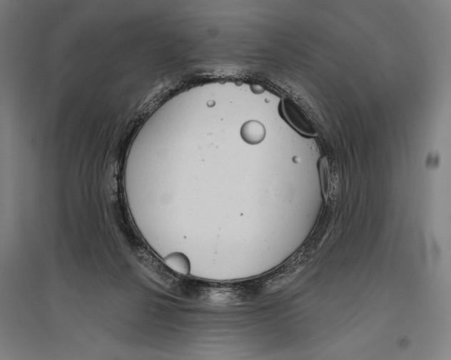 X0000096630264200802261211