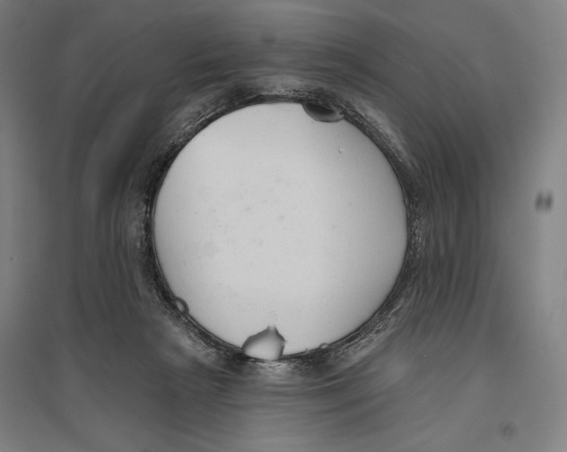 X0000096630265200802261211