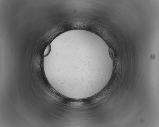 X0000096630266200802261211