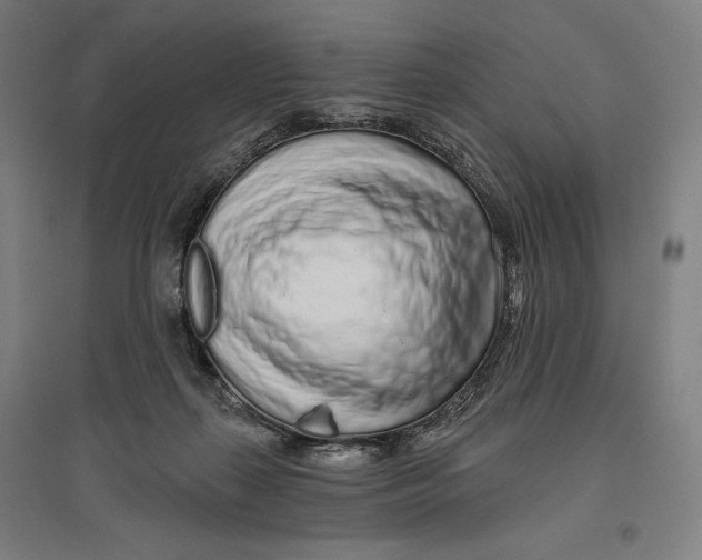 X0000096630267200802261211