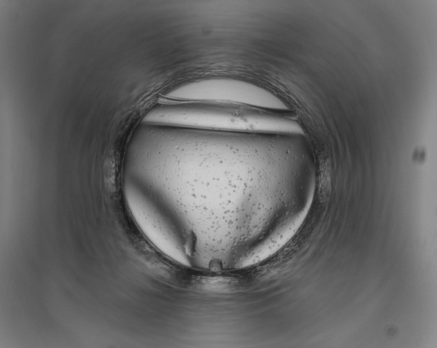 X0000096630268200802261212