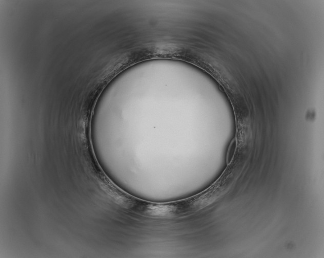 X0000096630269200802261212